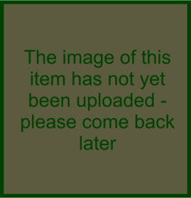 Image has not yet been uploaded - please come back later